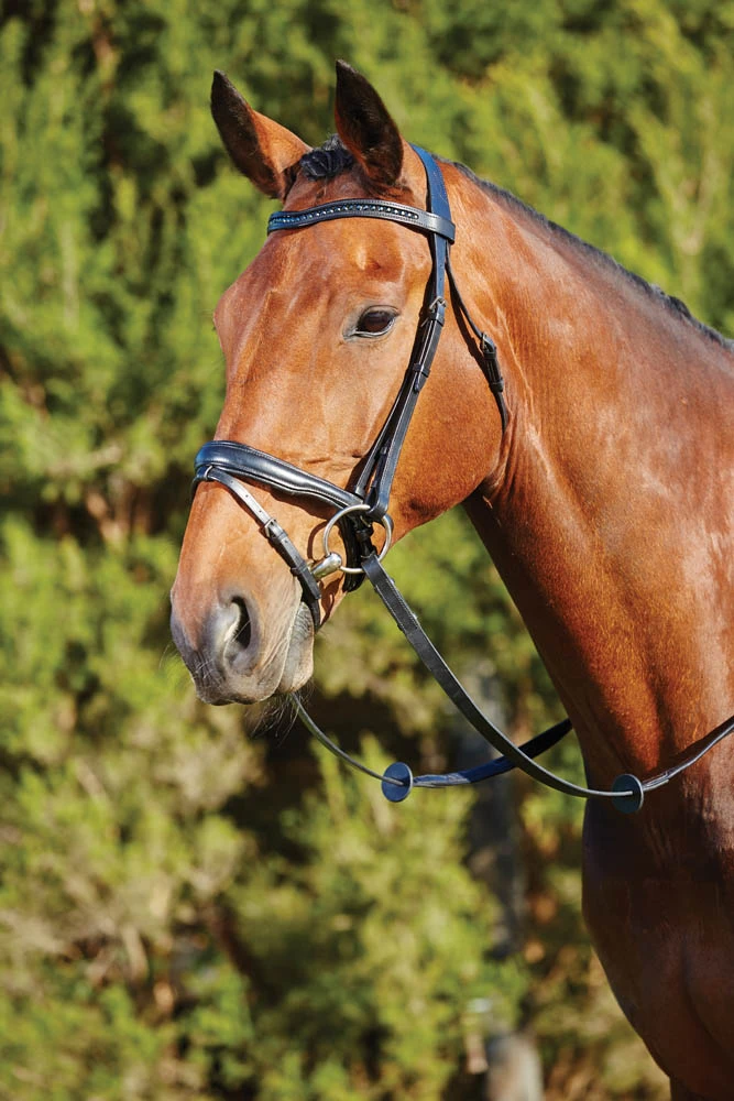 U Shaped Crystal Crank Bridle