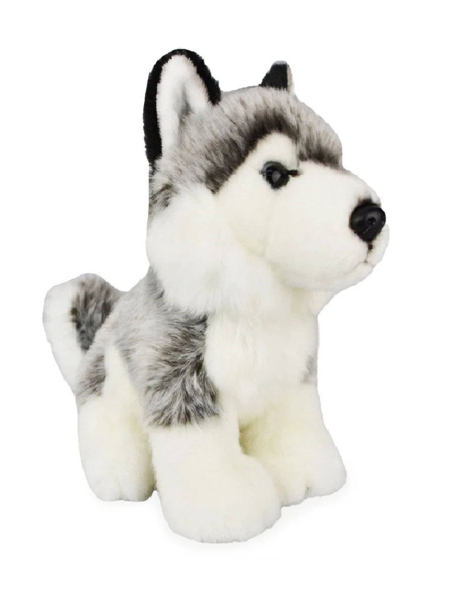 Lil Friends Husky