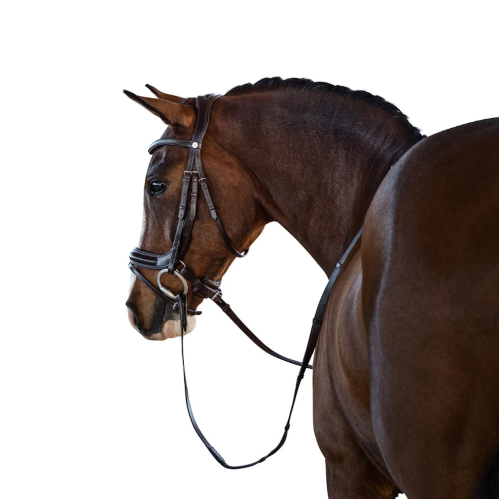 Connection Bridle