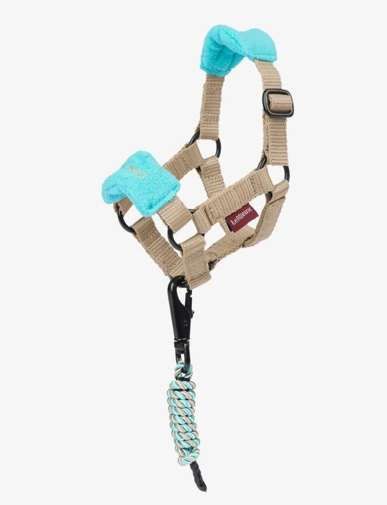 Toy Pony Headcollar