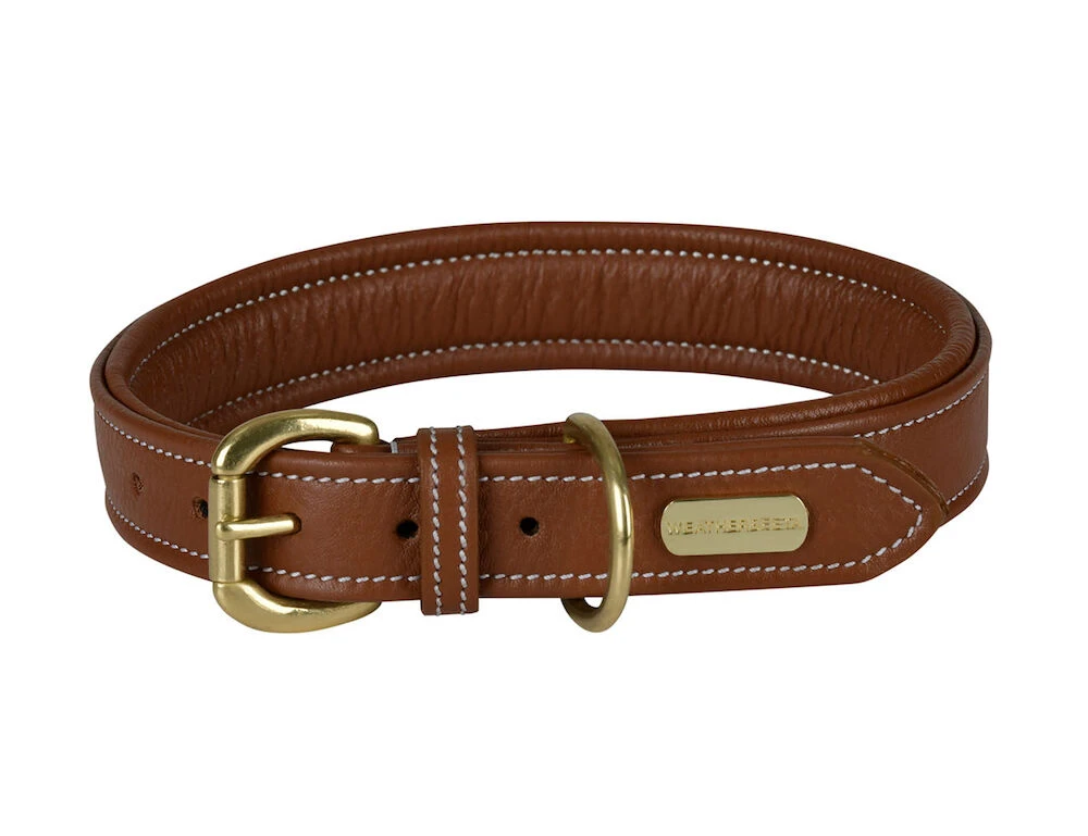 Fancy Stitch Collar