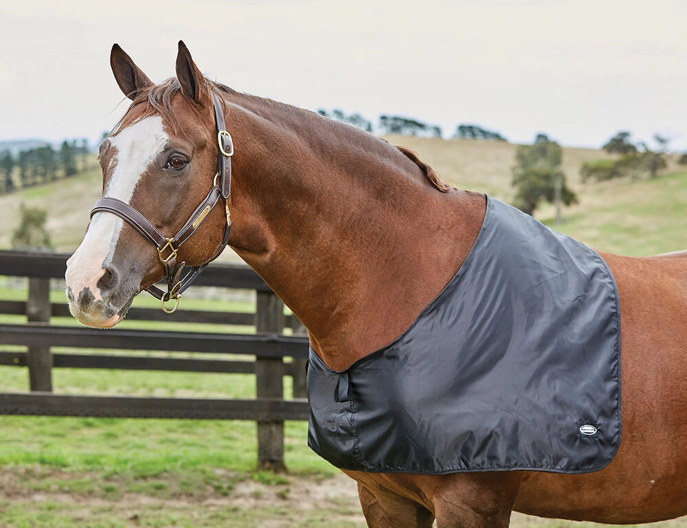 Satin Shoulder Guard