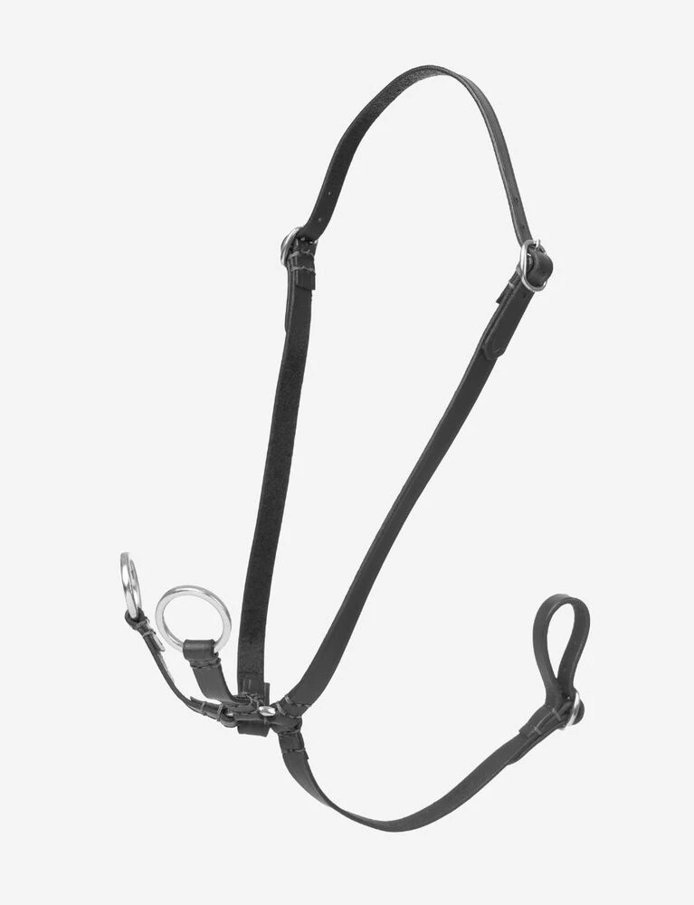 Hobby Horse Running Martingale
