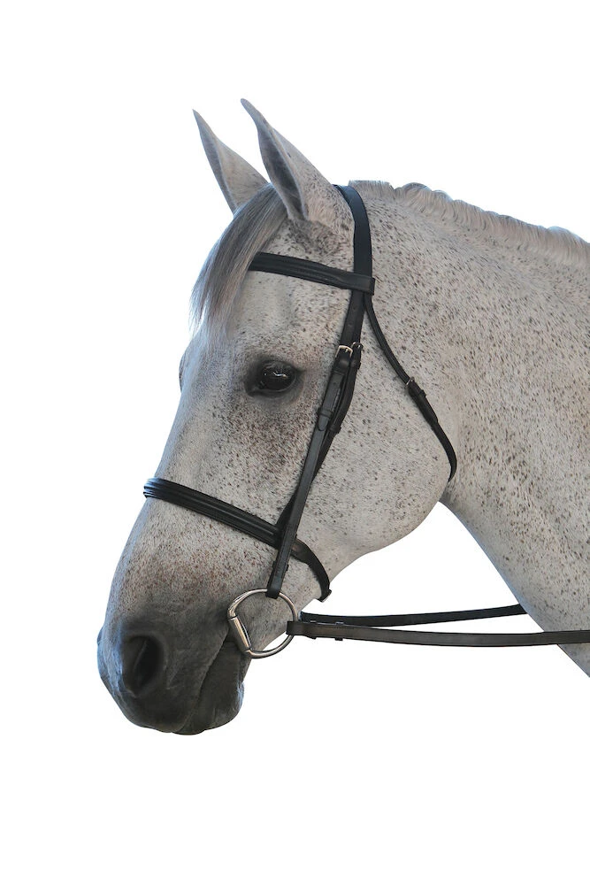Padded Cavesson II Bridle