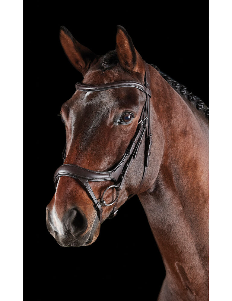 ComFiTec Vogue Anatomical Bridle