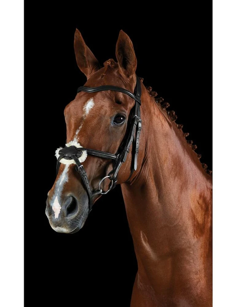 ComFiTec Grackle Bridle