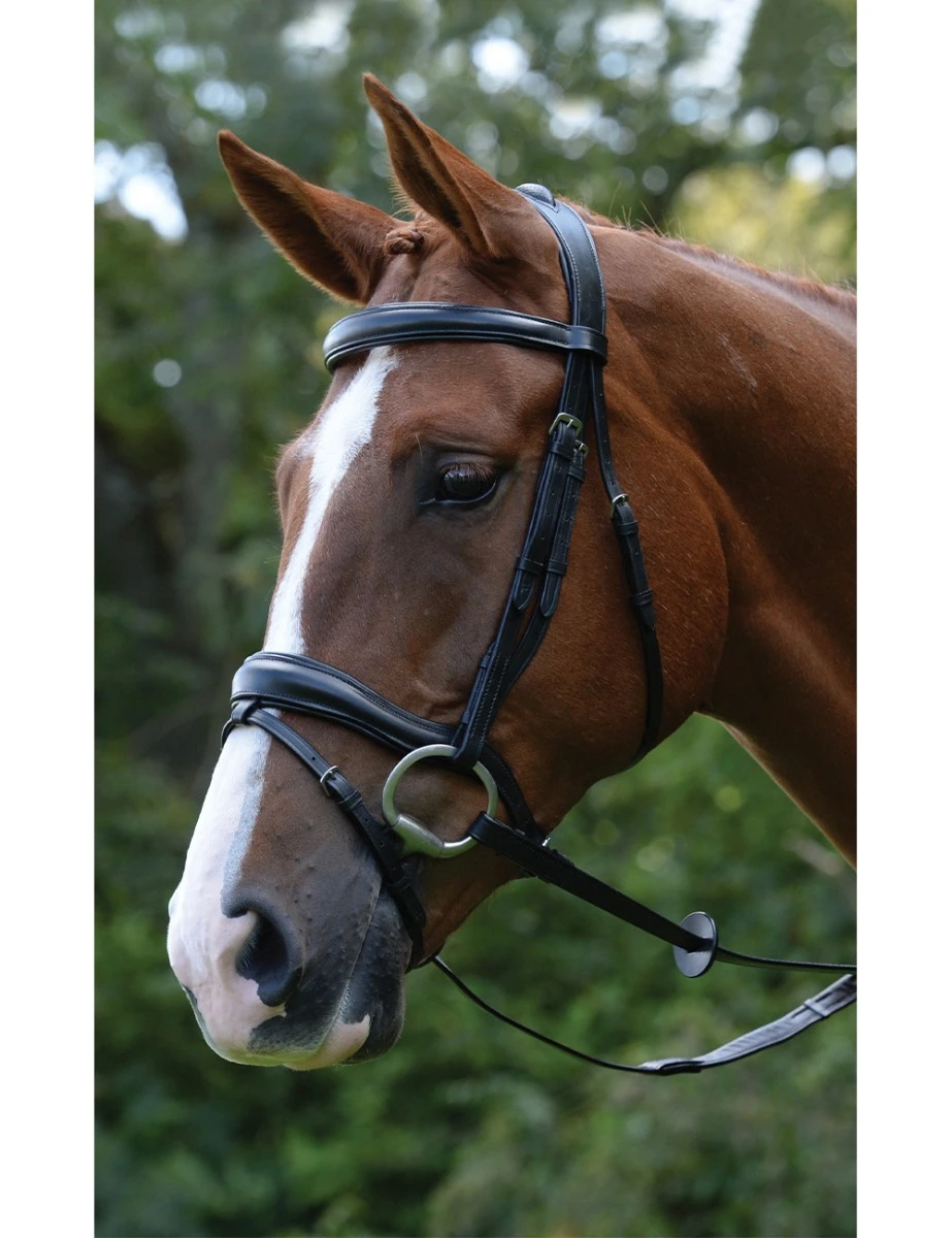 Comfort Anatomical Flash Bridle