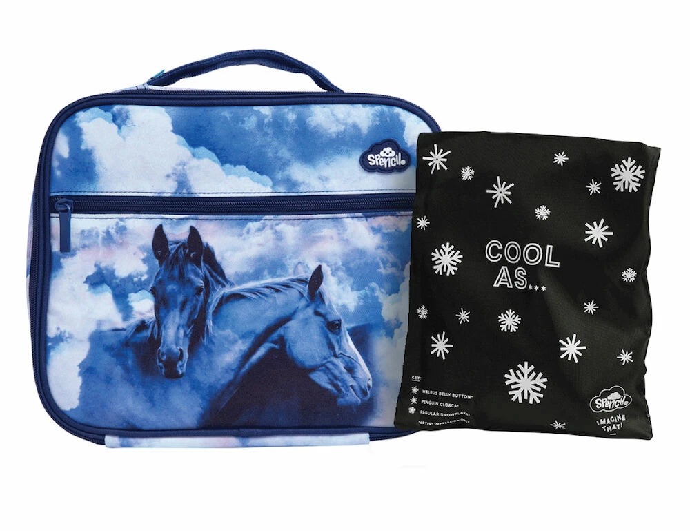 Big Cooler Lunch Bag + Chill Pack