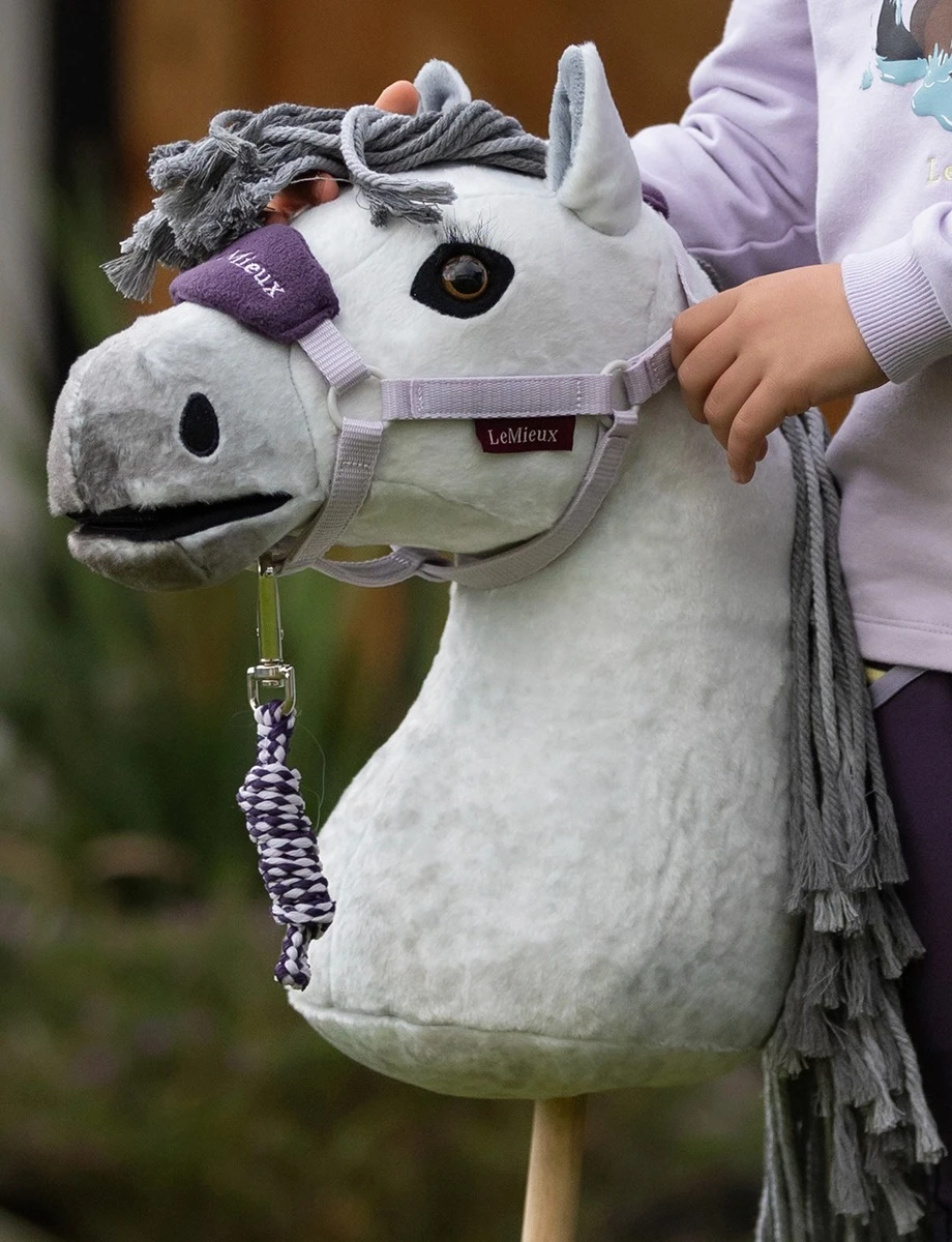 Hobby Horse