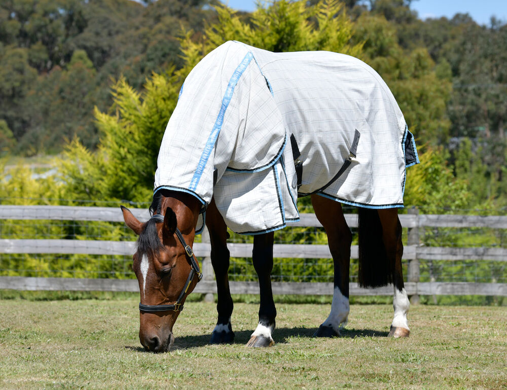 Cotton Summer Sheet Combo Neck