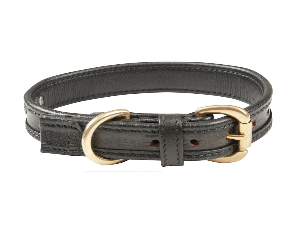 Two Toned Leather Dog Collar