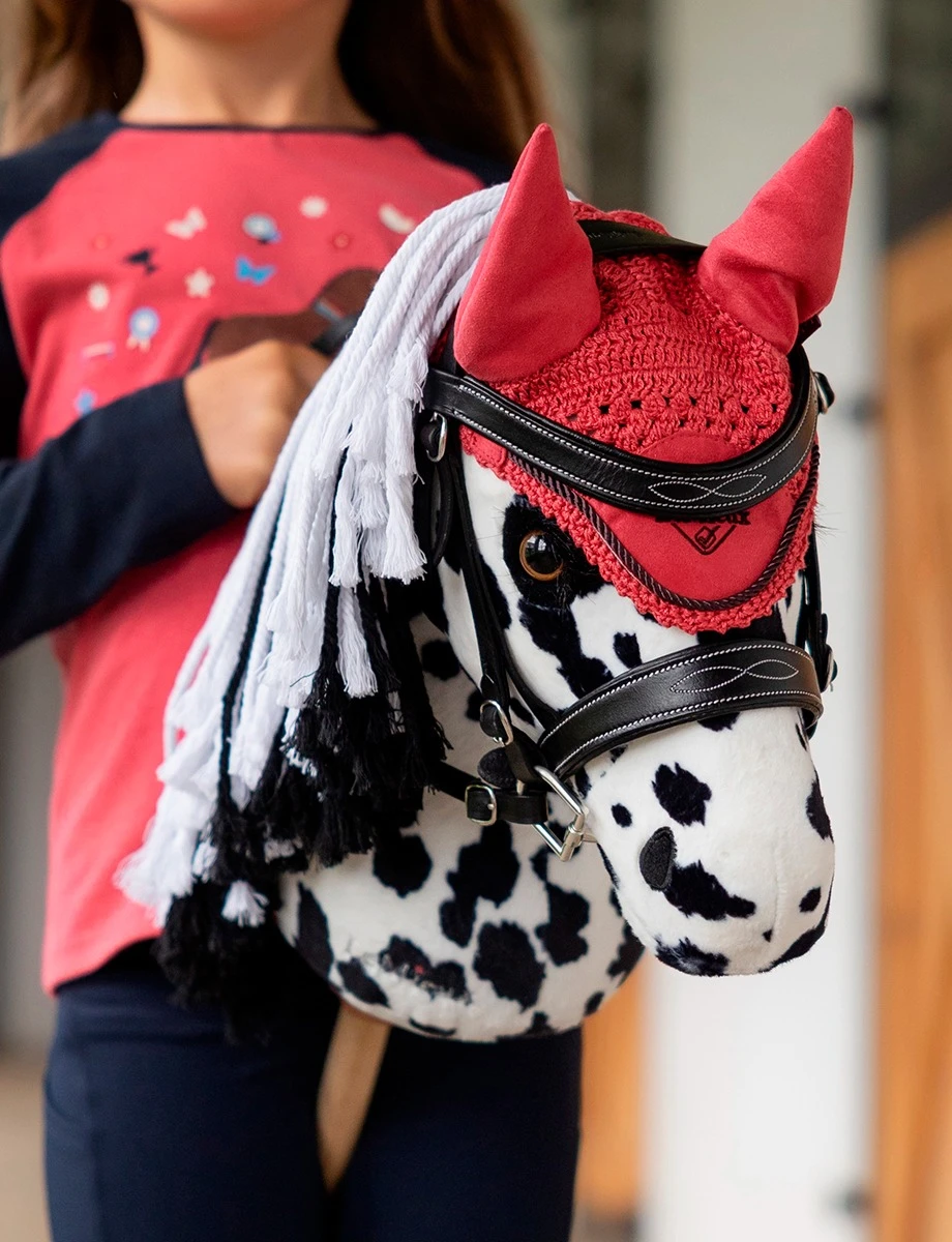 Hobby Horse