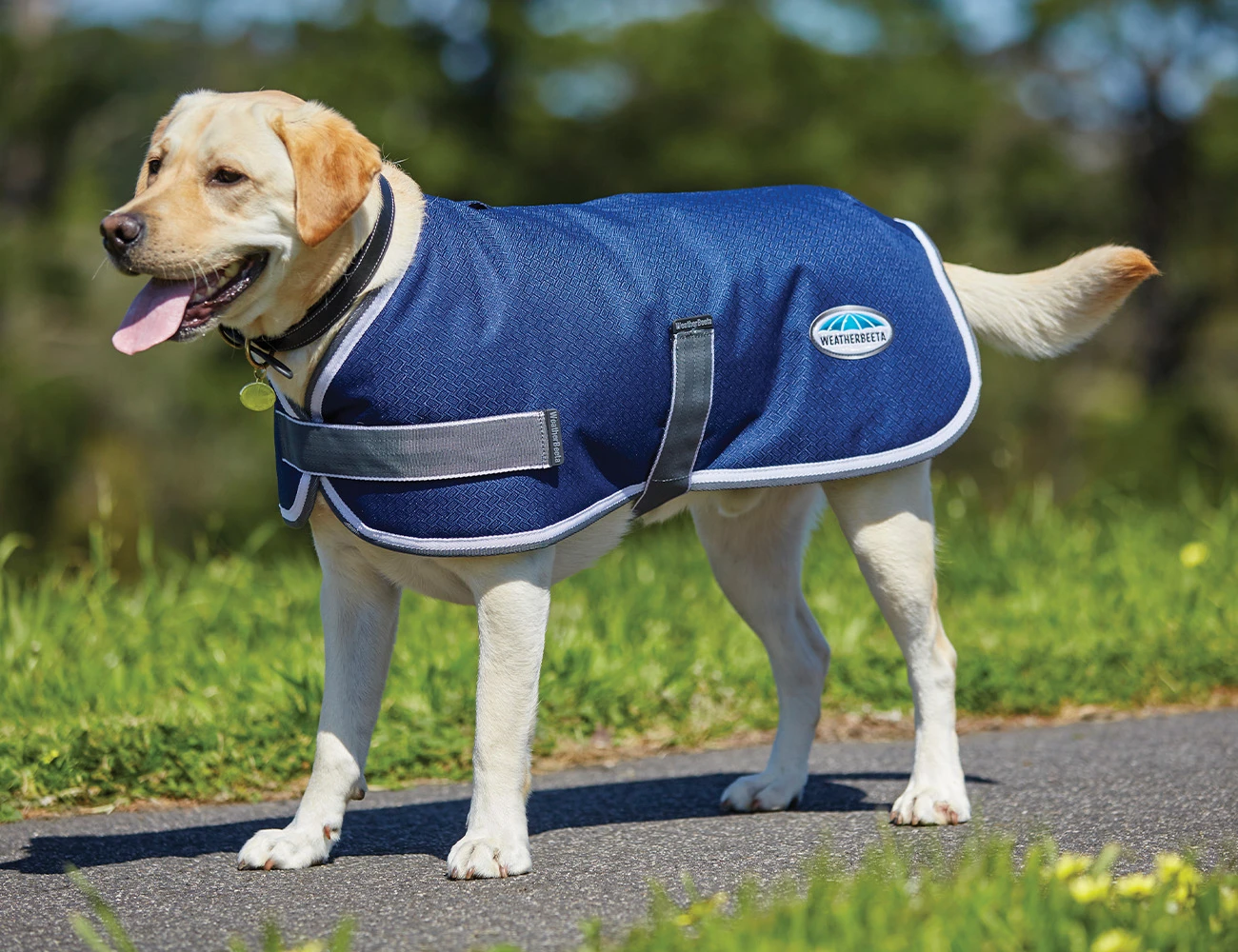ComFiTec Parka 1200D Dog Coat