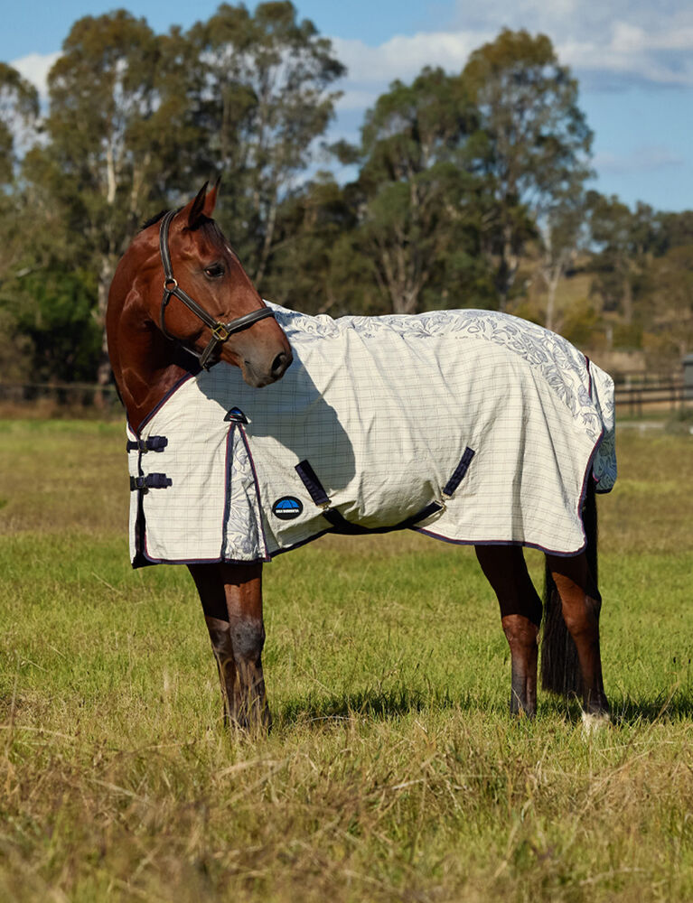 Cotton Summer Sheet