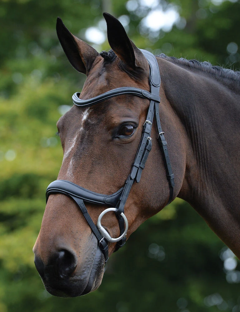 ComFiTec Vogue Anatomical Bridle