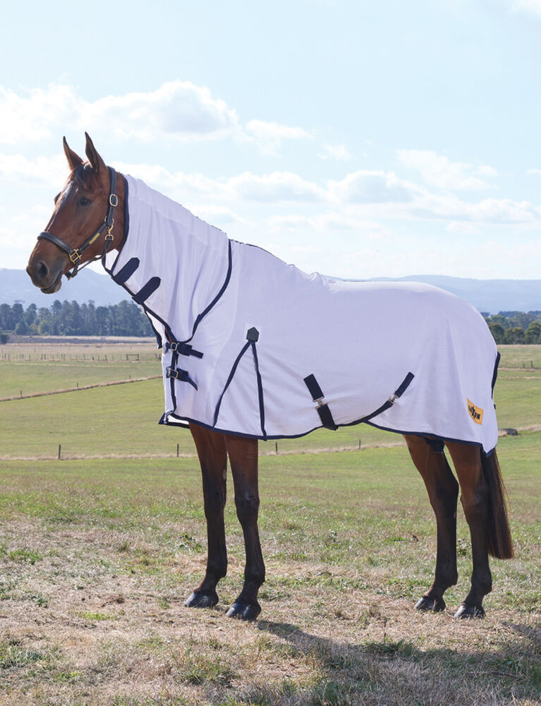 Air Mesh Fly Sheet Combo