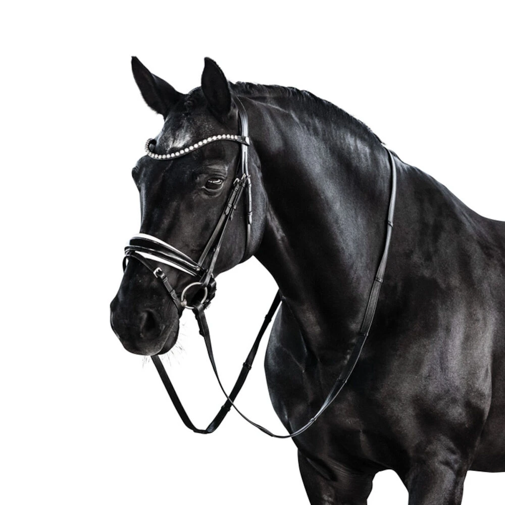 Essential Snaffle Bridle With Flash