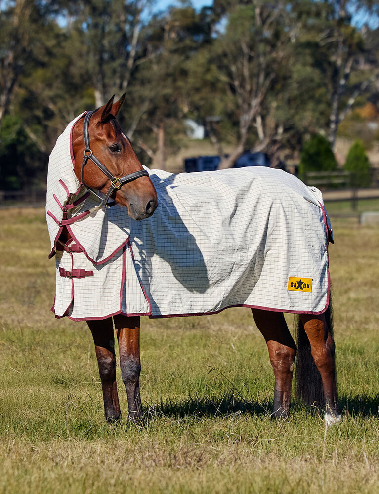 Kool Coat Cotton Sheet Combo