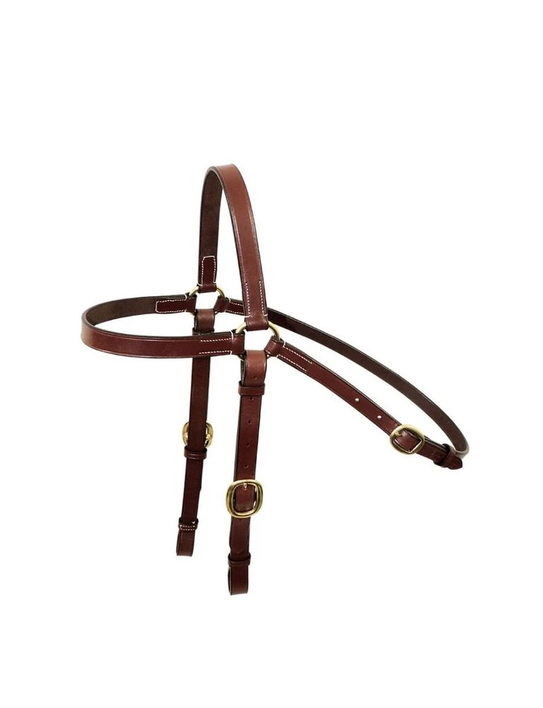 Bridle Head 3\/4\