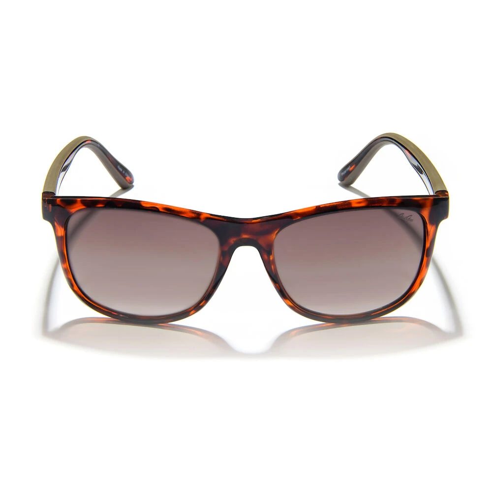 Fender Sunglasses