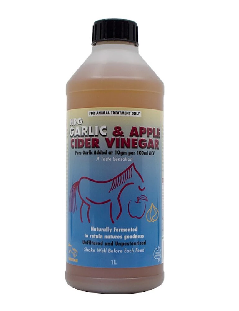 Apple Cider Vinegar With Garlic