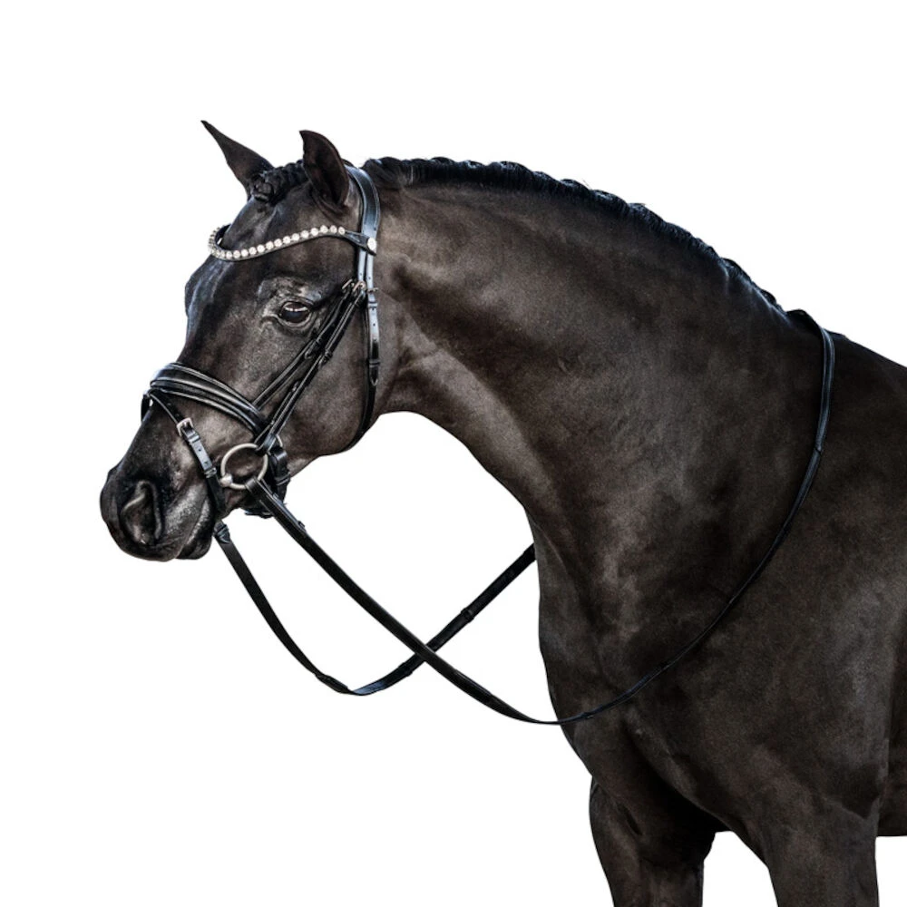 Essential Pony Bridle With Flash