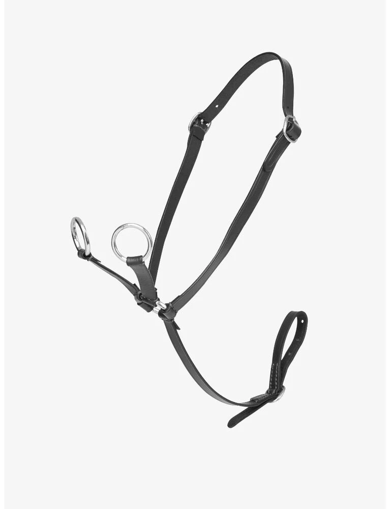Toy Pony Martingale