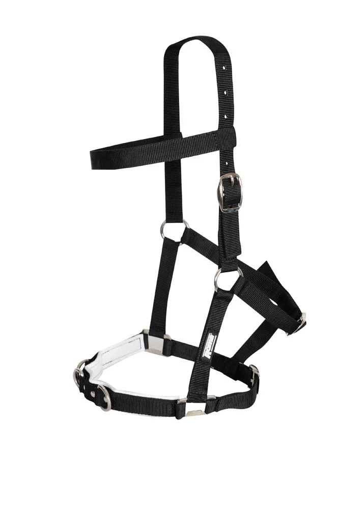 Nylon Padded Lunge Cavesson