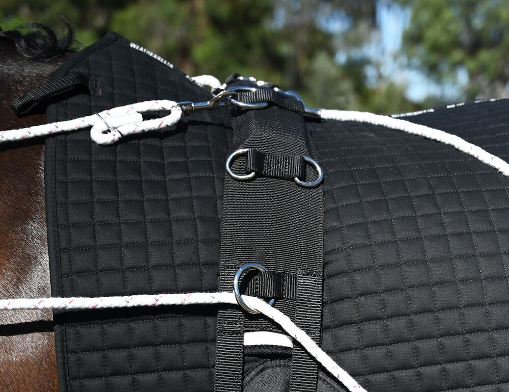 Lunge Roller With Fleece Padding