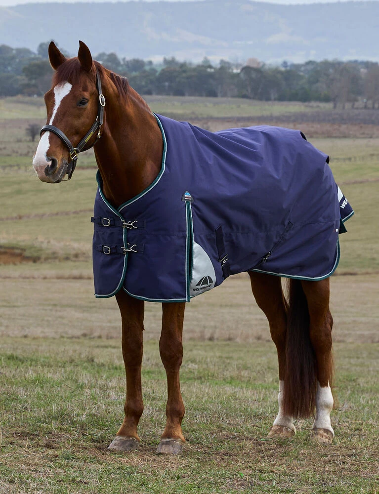 ComFiTec Plus Dynamic Turnout 0G