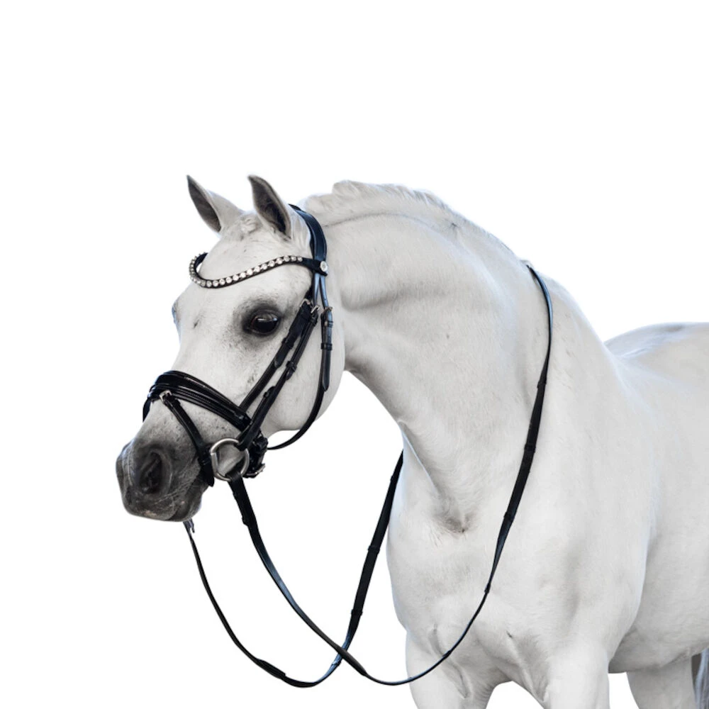 Essential Pony Bridle With Flash