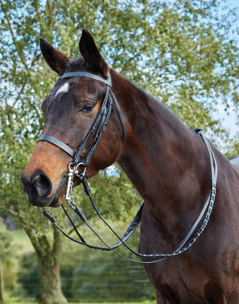 Flat Show Weymouth II Bridle