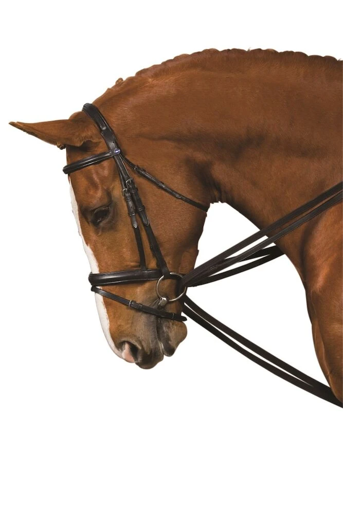 Web Draw Reins