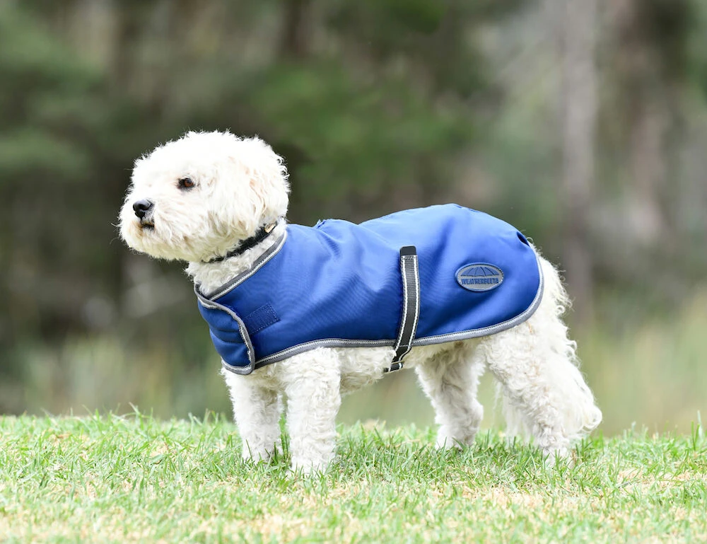 ComFiTec Windbreaker Free Dog Coat