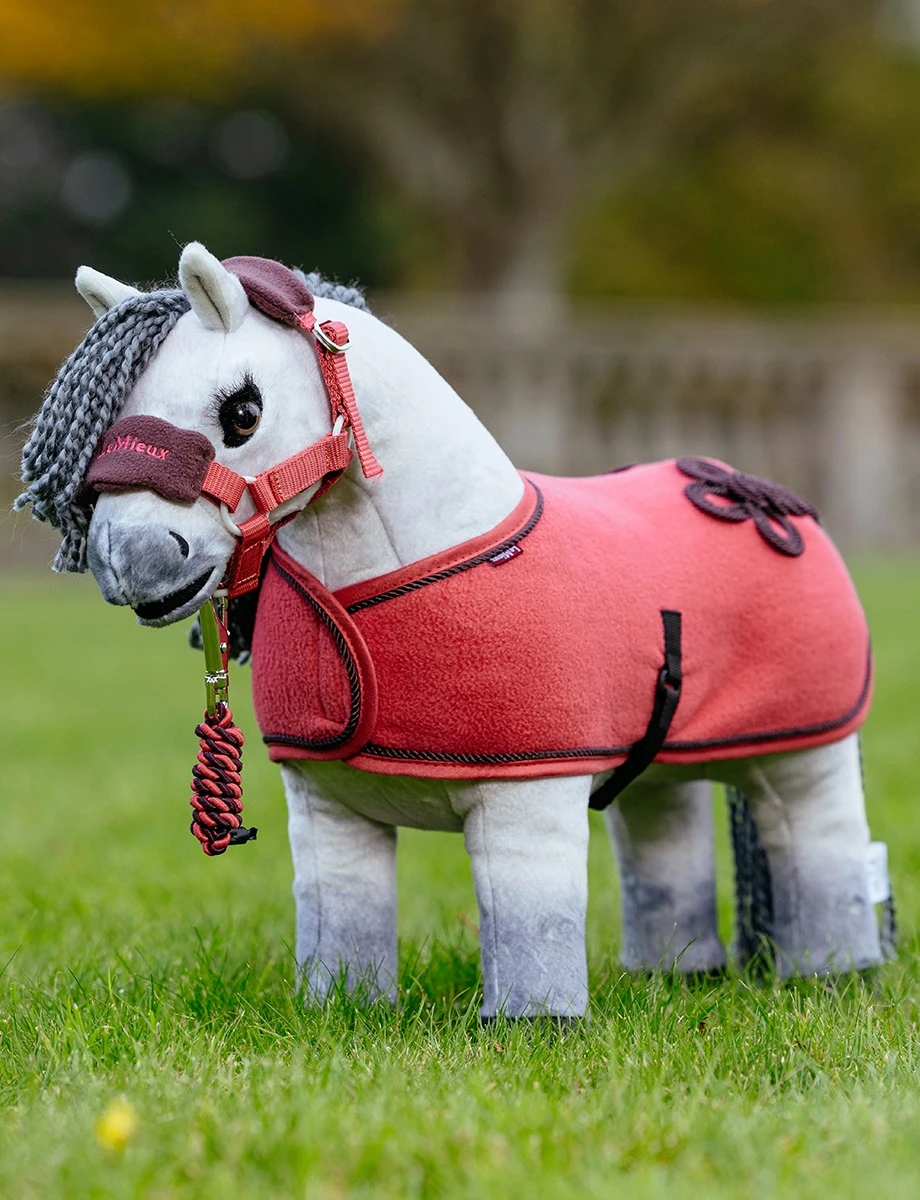 Toy Pony Rug