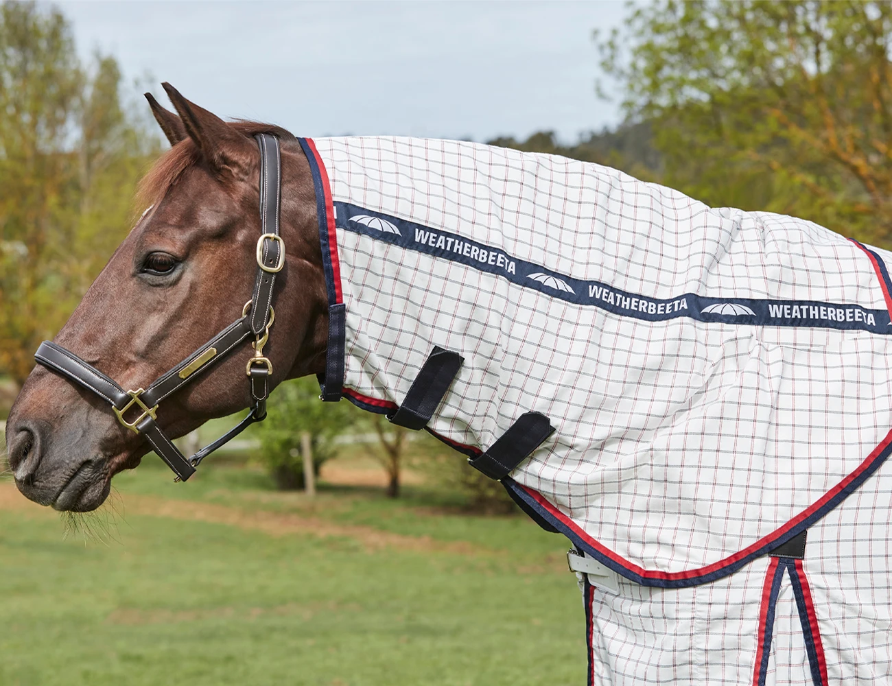 Lite Summer Sheet Detach-A-Neck