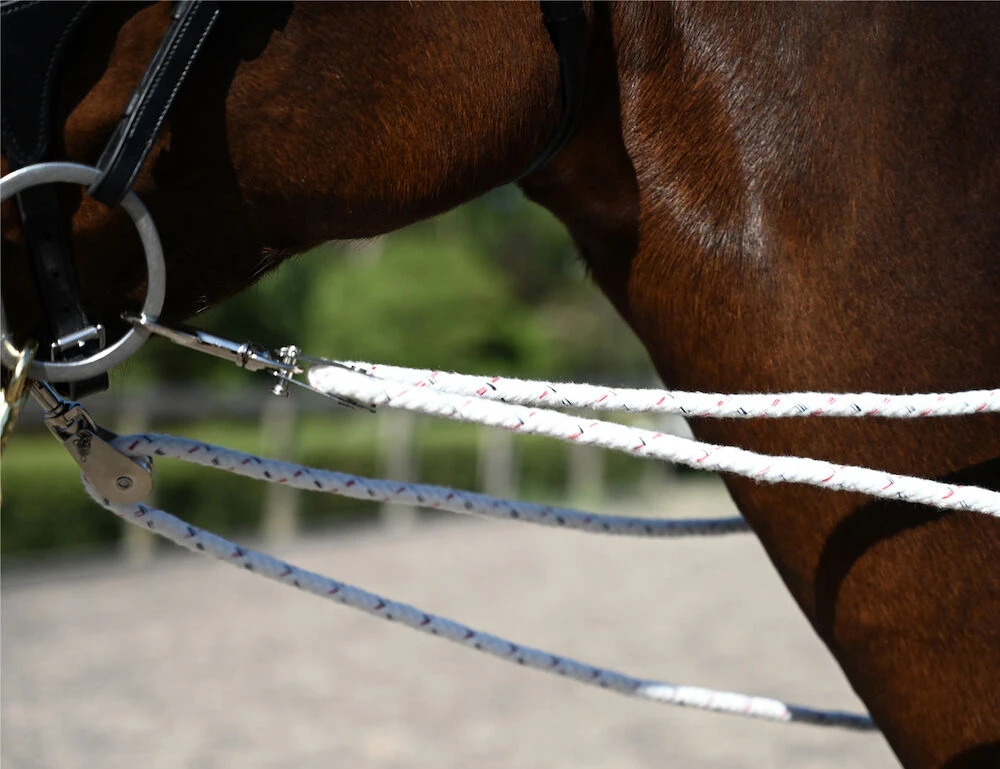 Lunging Training System