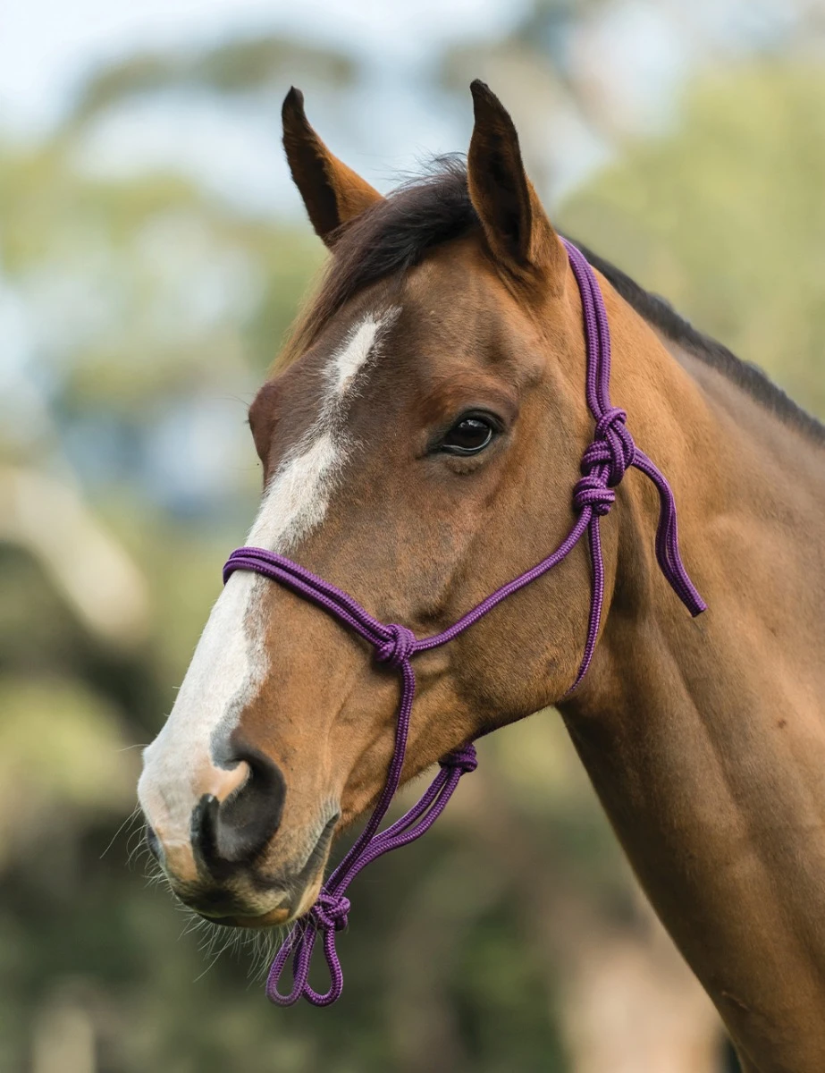 Nylon Rope Headcollar