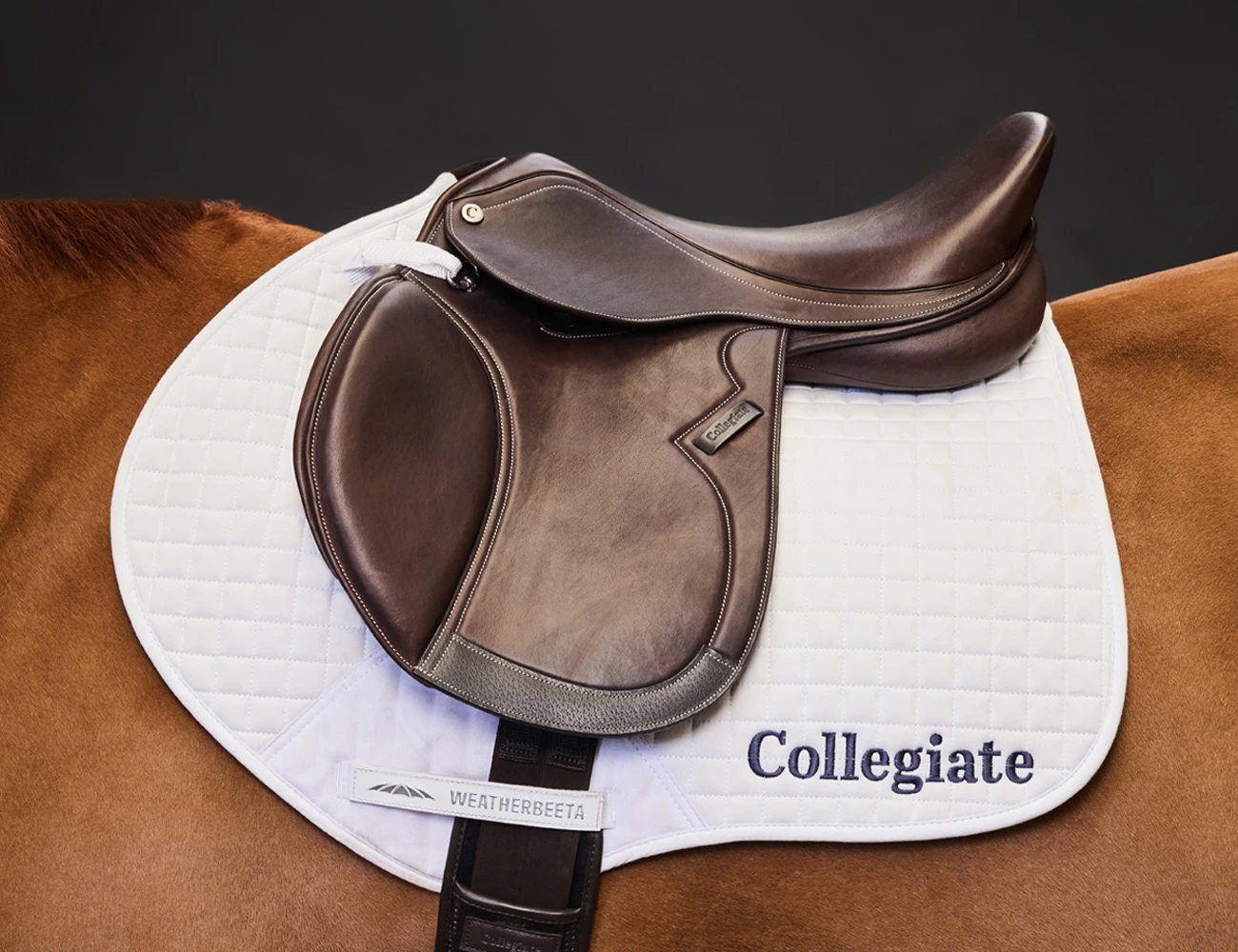 Astute Close Contact Saddle
