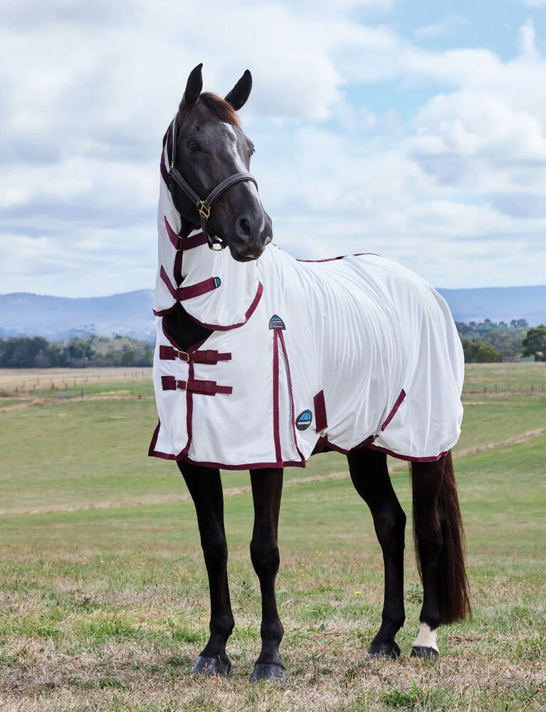 ComFiTec Essential Fly Sheet Combo