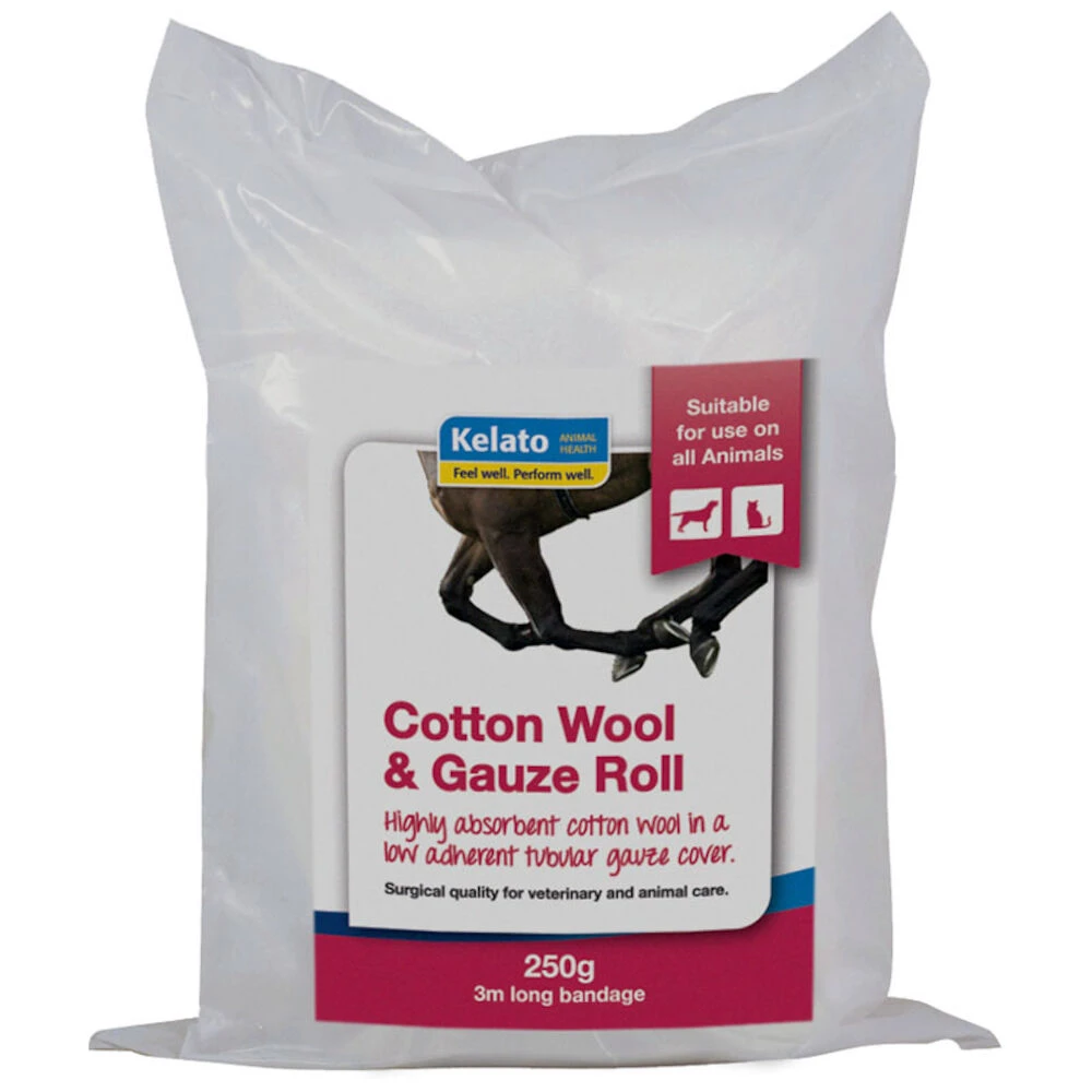 Cotton Wool\/Gauze Roll 250Gm