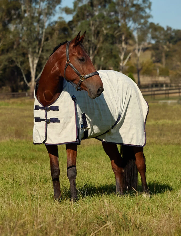 Cotton Summer Sheet