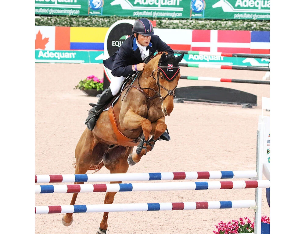 Boyd Martin Hind Jump Boots