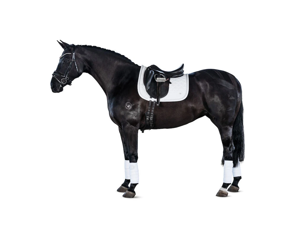Classic Dressage Saddle Pad