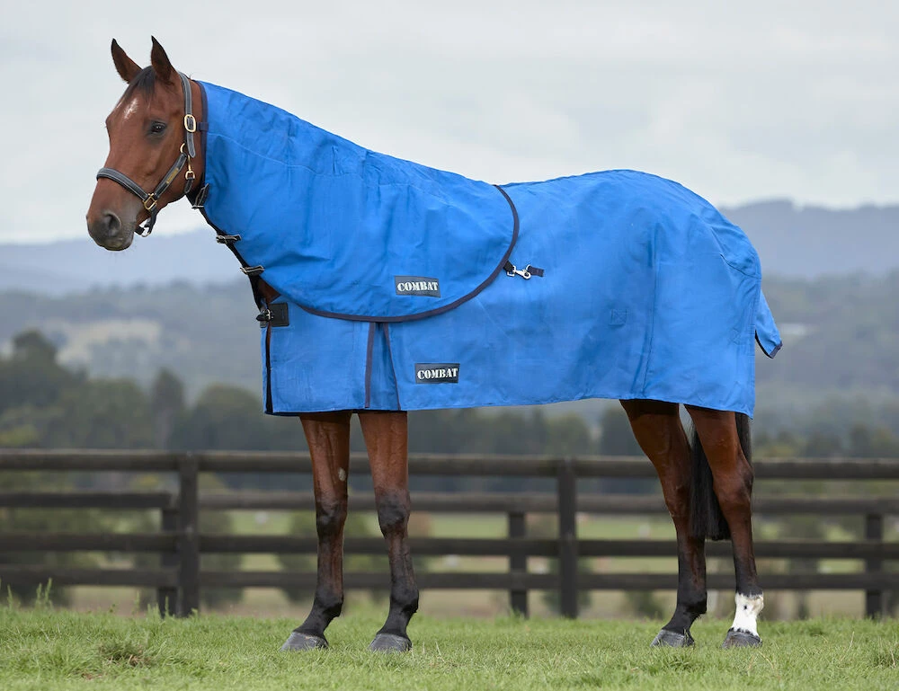 Canvas Neck Rug Medium I