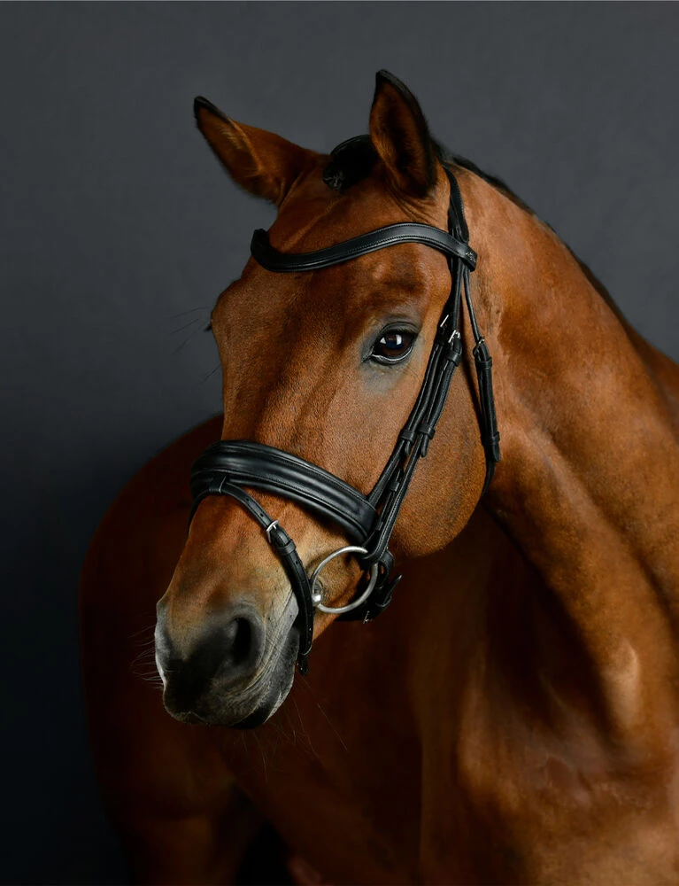 ComFiTec Opulux Raised Dressage Bridle