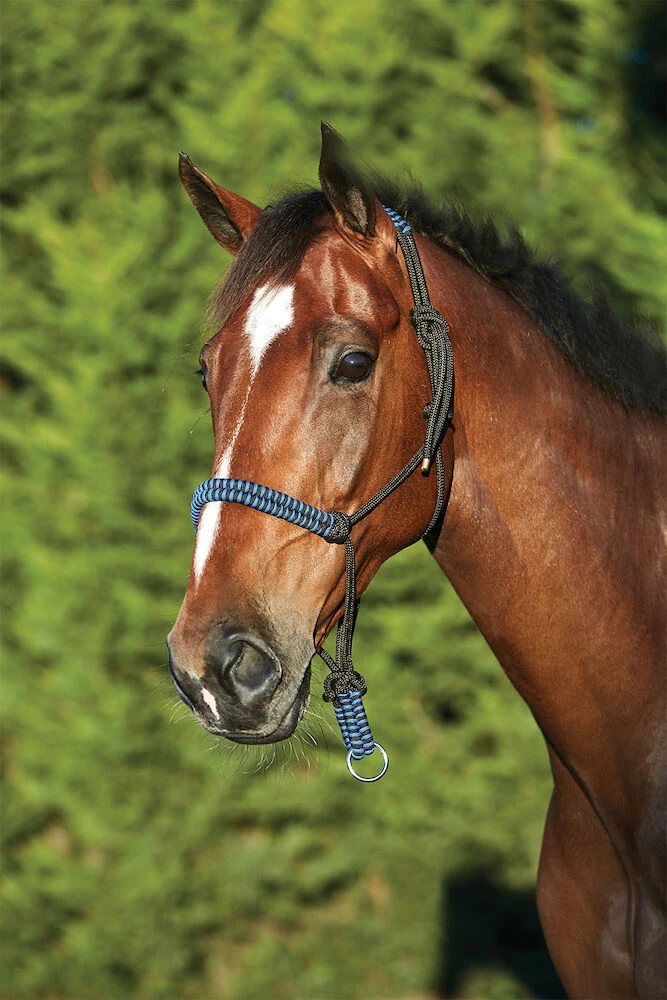 Cord Rope Headcollar
