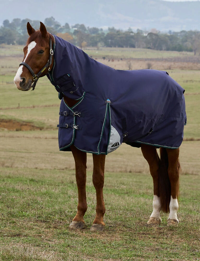 ComFiTec Plus Dynamic Turnout Combo 0G
