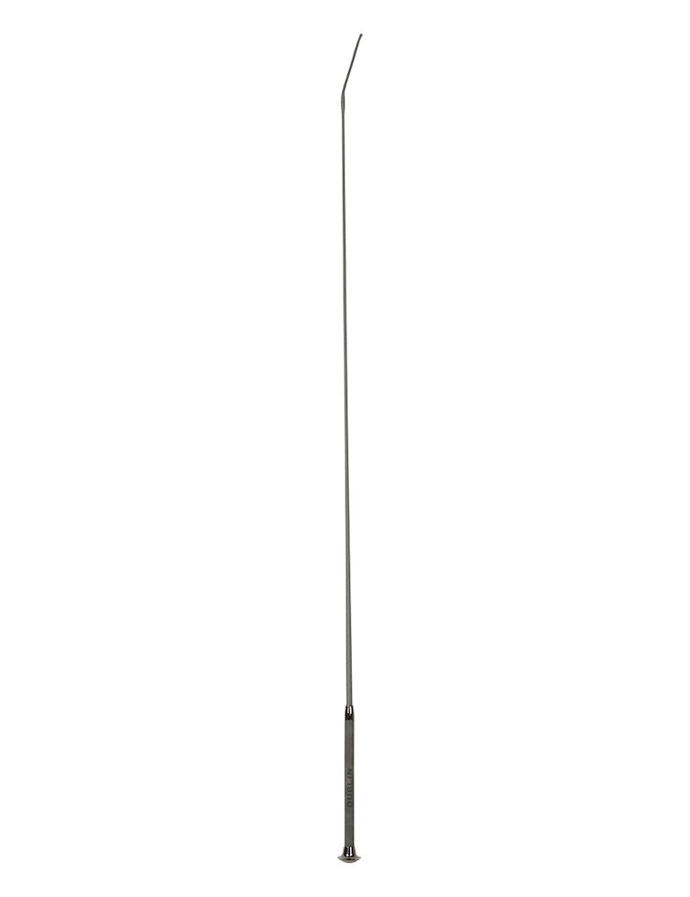 Leather Embossed Dressage Whip II