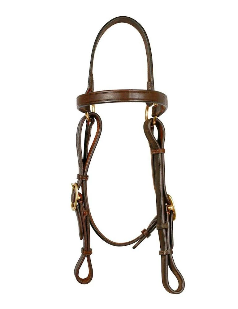 Barcoo Bridle Head